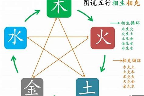 中五行|中字五行属什么